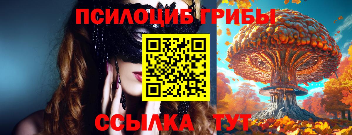 Псилоцибиновые грибы GOLDEN TEACHER Арзамас