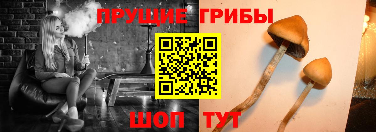 Арзамас  Псилоцибиновые грибы Cubensis  Вход с VPN  где купить   Галлюциногенные грибы мицелий 